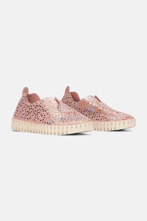 Tulip Schuhe Kinder - Misty Rose