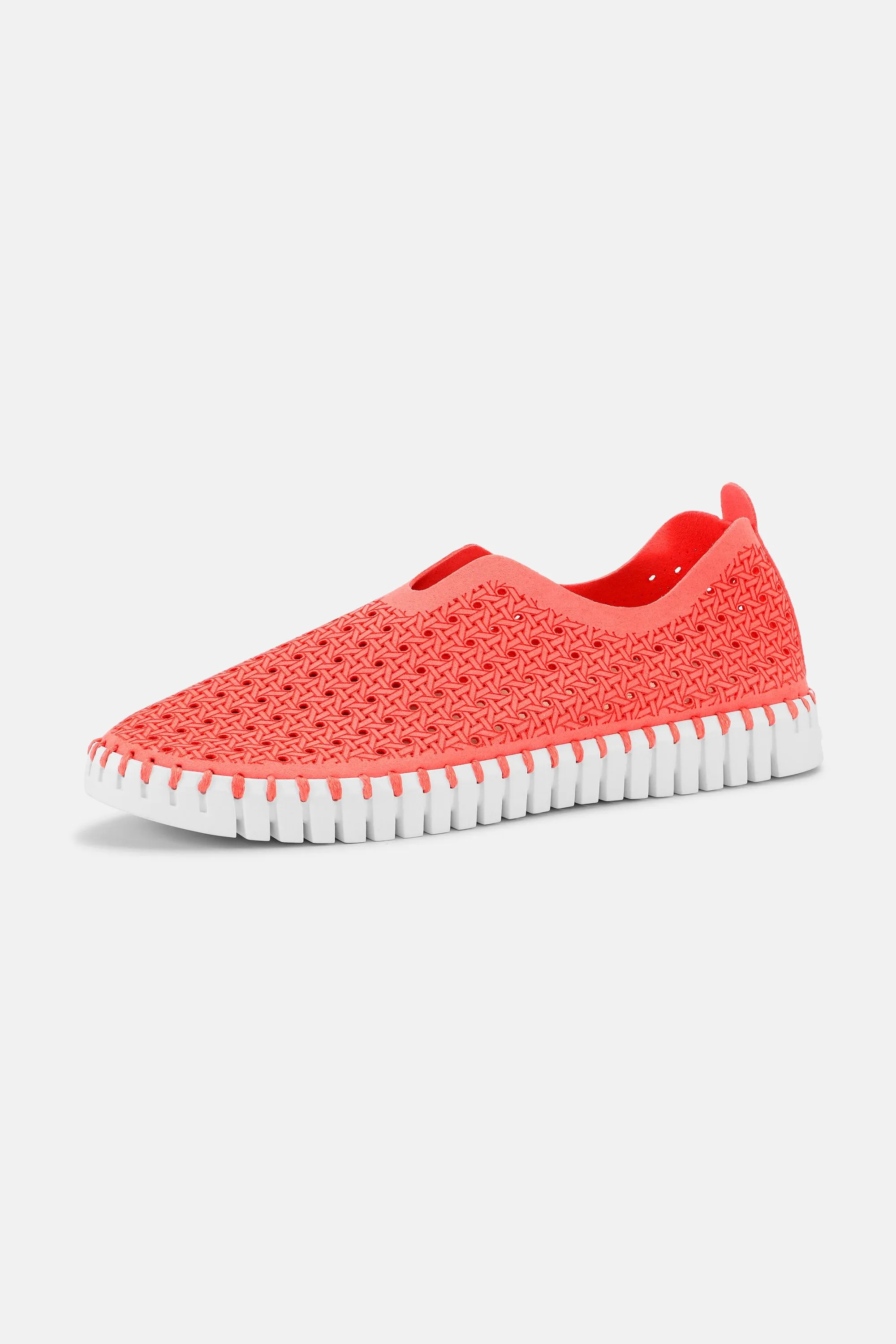 Tulip Slipper - Raspberry White