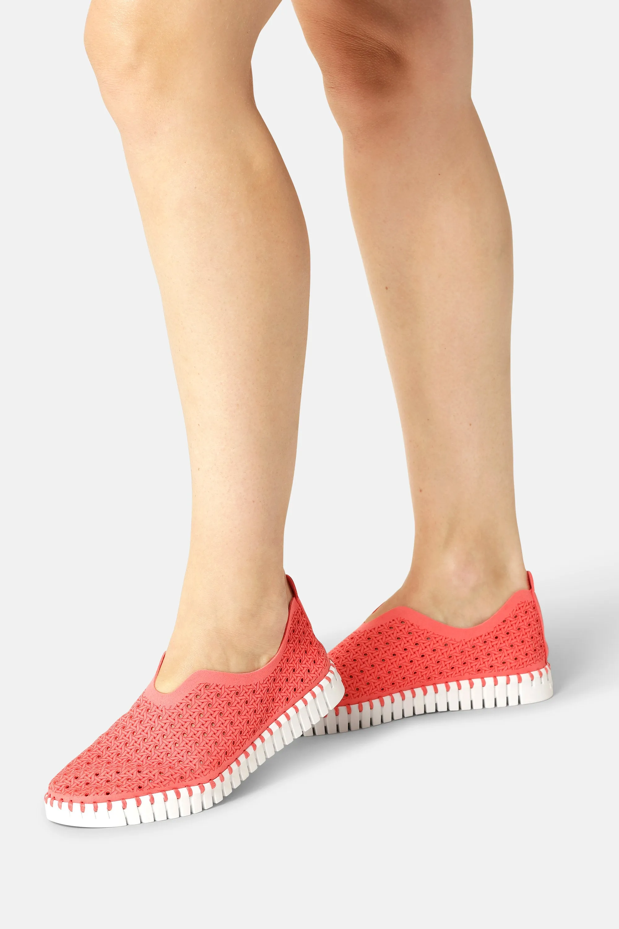 Tulip Slipper - Raspberry White
