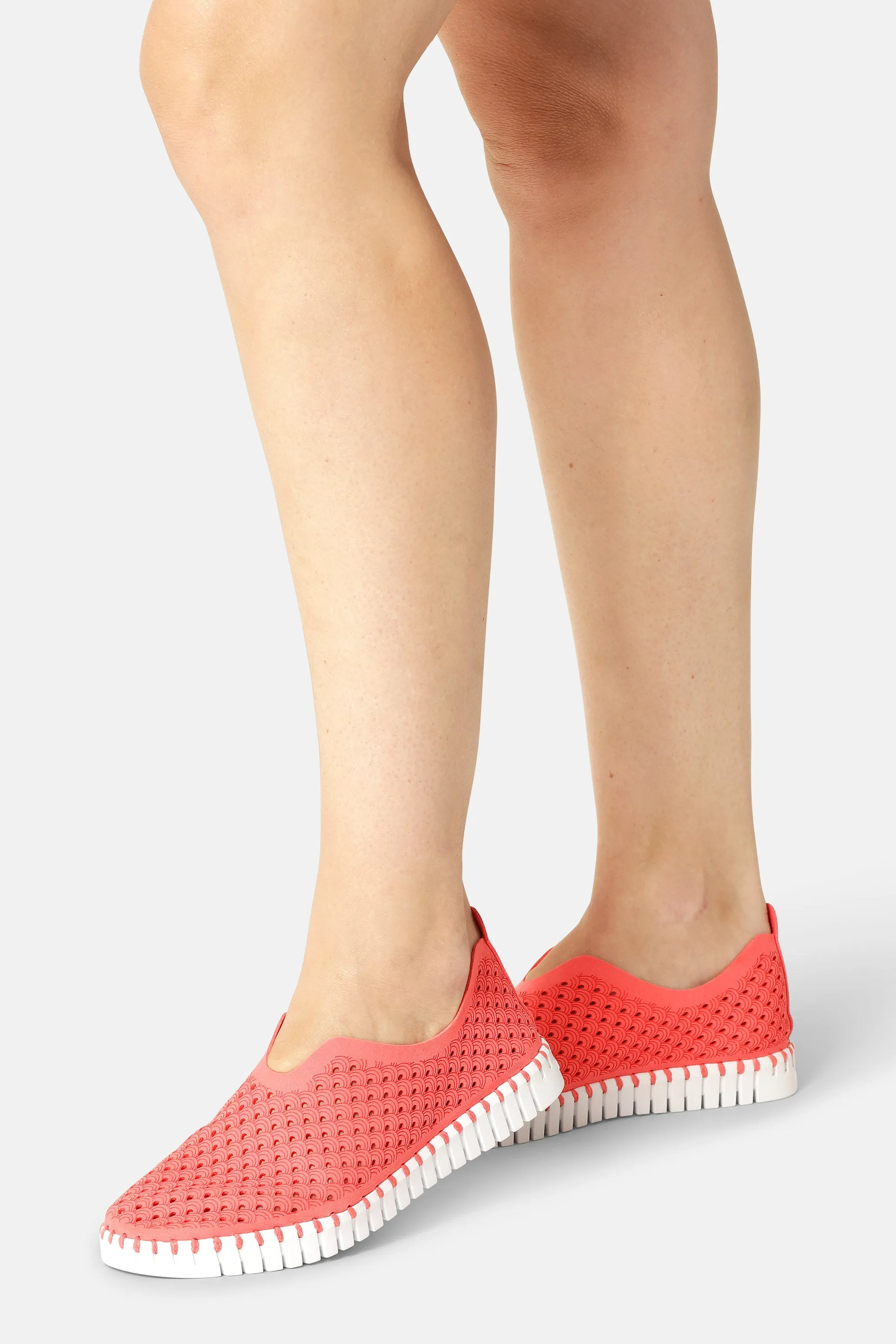 Tulip Slipper - Raspberry White